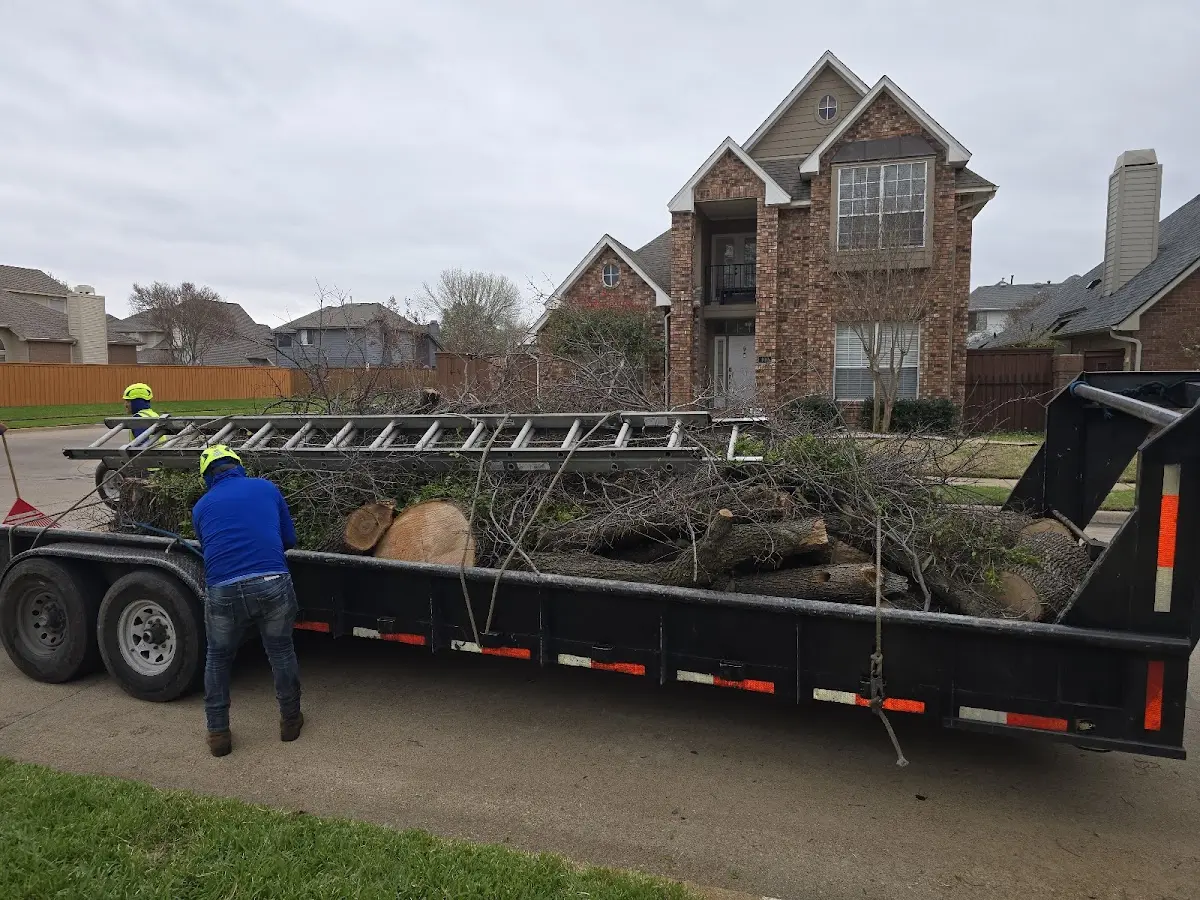 Expert Tree Removal with proper safety equipment in Stevensville